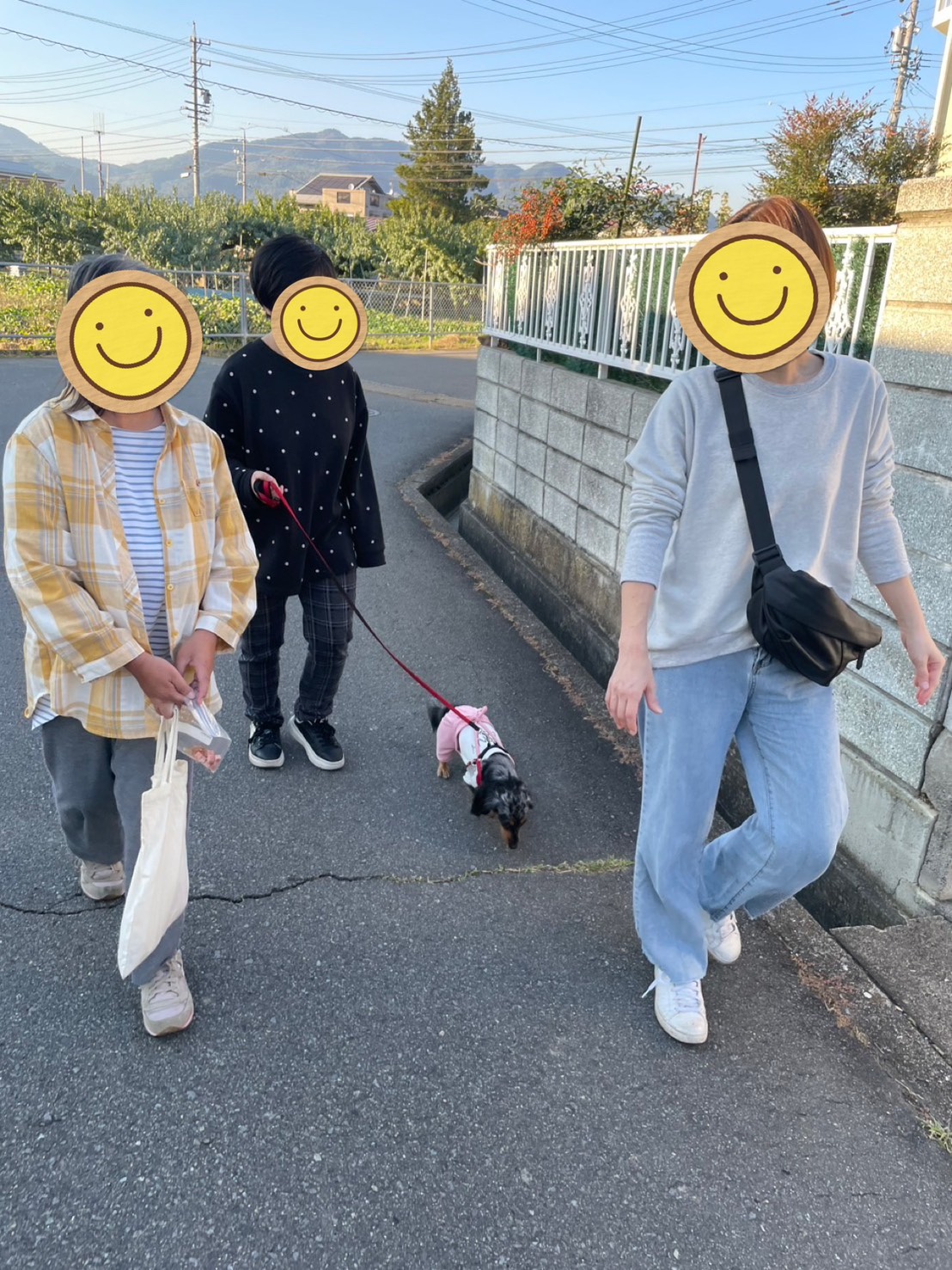 osanpo1